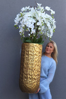 Golden Palace 2, wysoki storczyk podłogowy