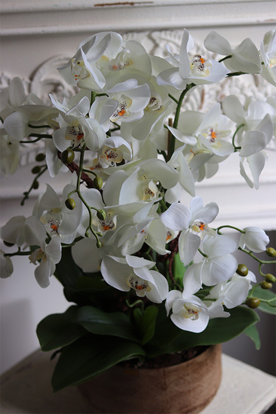 Indie, wysokiej jakości sztuczny storczyk