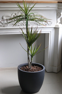 Dracena Concrete, sztuczne drzewko w betonowej donicy, wys.116cm