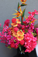 Lawa Strelicja, dekoracyjny bukiet w wazonie