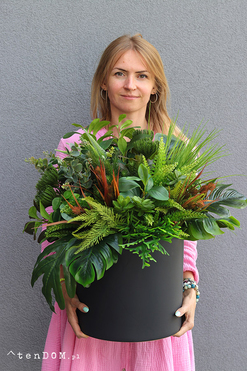 Zielona Moderna Big, sukulenty w czarnej donicy, wym.50x60cm