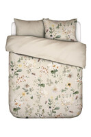 Noe Essenza, pościel bawełna satynowa