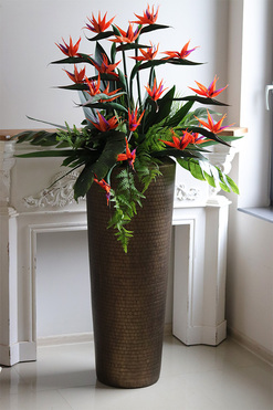 Strelicja Hillton Balleti, egzotyczna kompozycja, wys.170cm