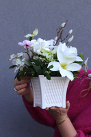 Magnolie Santi, kompozycja kwiatowa w naczyniu