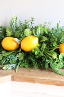 Cytryny Italia, zielona girlanda dekoracyjna z owocami