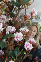 Magnolia Silveria, sztuczne drzewko w donicy