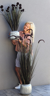 Black Lion, sztuczna czarna trawa w srebrnej donicy, wys.146cm