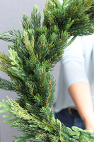 Siberia Big, wianek ozdobny / stroik dekoracyjny z sosny kaukaskiej, śr.80cm