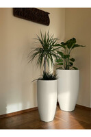 Fiberglass Fiber donica cygaro Cashmir