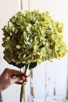 gałązka / sztuczna Hortensja Exclusive, zielony, dł.75cm,1szt 