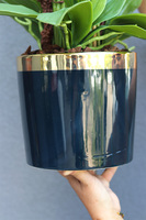 Navy Natural, storczyk w białym naczyniu