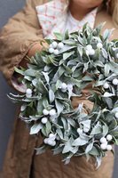 Jemioła, zielony wianek świąteczny