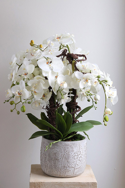 Modern Meadow, stylowy storczyk w doniczce ze wzorem