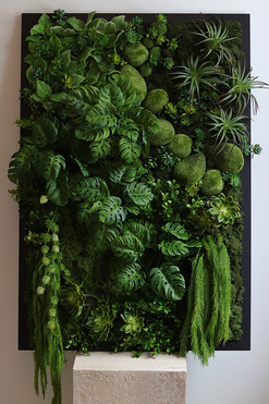 Green Hotel Black, czarna jednostronna rama sukulenty, wym.95x65cm