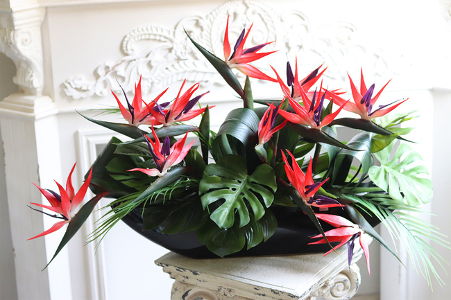 Strelicja Moderni Laos, egzotyczna kompozycja w czarnej donicy