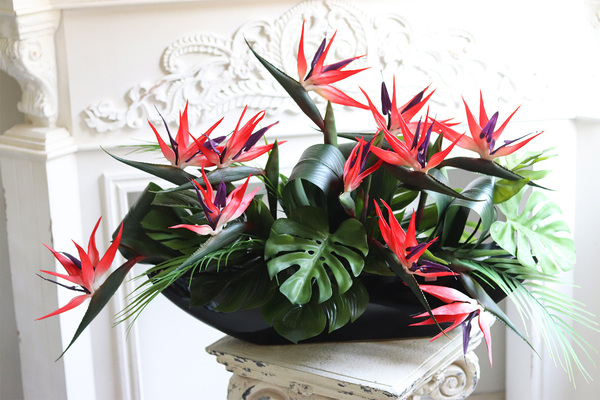 Strelicja Moderni Laos, egzotyczna kompozycja w czarnej donicy