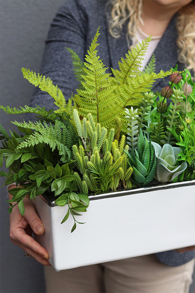 Anya Decory 2 Sukulenty, zielona kompozycja w donicy