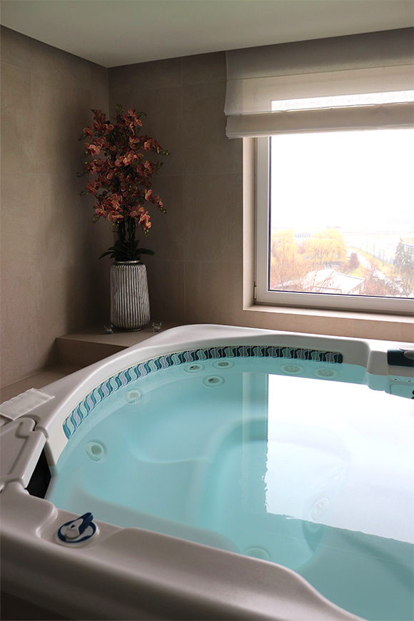 Granada Albina Silver, gumowy storczyk w srebrnej donicy