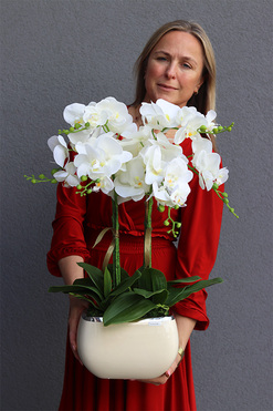 Teolina Glamour, gumowy storczyk w naczyniu, wys.67cm