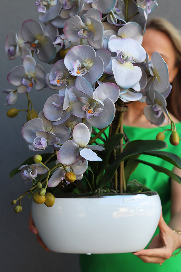 sinofioletowy storczyk w donicy glamour, Ophelia Gerra