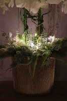 Śnieżna Kraina, elegancki storczyk zimowy LED