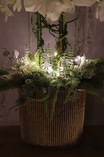 Śnieżna Kraina, elegancki storczyk zimowy LED