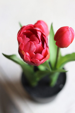 kompozycja z gumowych tulipanów w doniczce, ciemny róż, wys.21cm