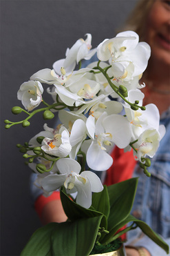 Gold Basics, storczyk w złotym naczyniu, wys.40cm