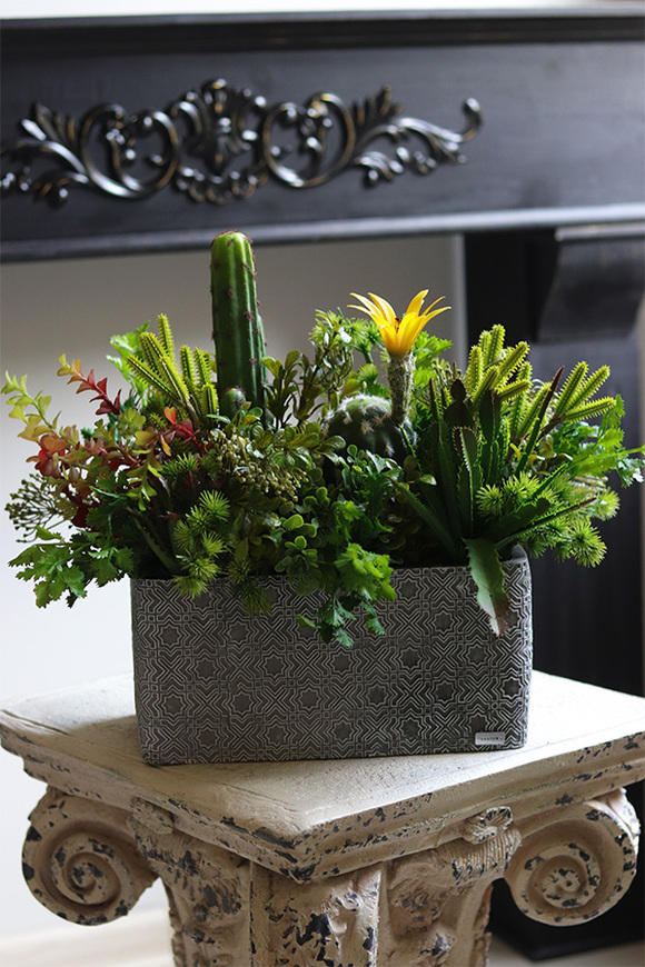 Green Neriata, sukulenty w prostokątnej donicy