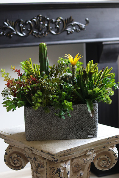 Green Neriata, sukulenty w prostokątnej donicy