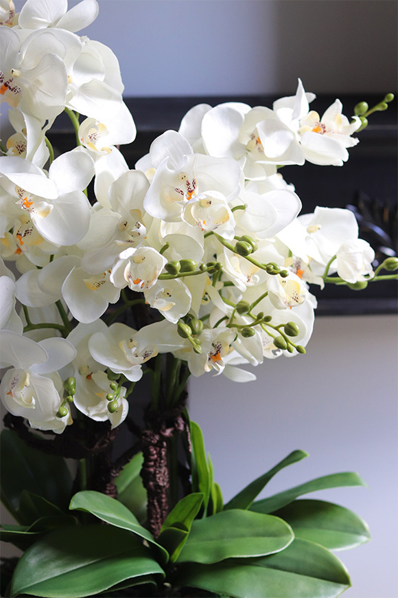 Hedre, biały sztuczny storczyk