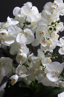 Greendeco, wysokiej jakości sztuczny storczyk