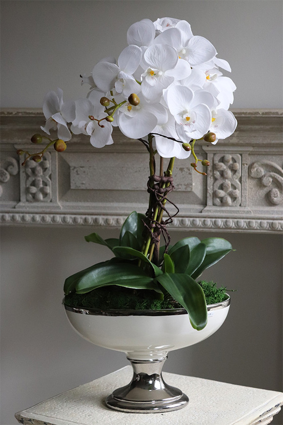 elegancki storczyk w białym pucharze glamour, White Glessy, wys.65cm