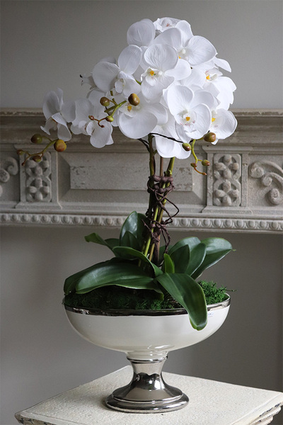 elegancki storczyk w białym pucharze glamour, White Glessy, wys.65cm