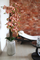 Granada Albina Silver, gumowy storczyk w srebrnej donicy