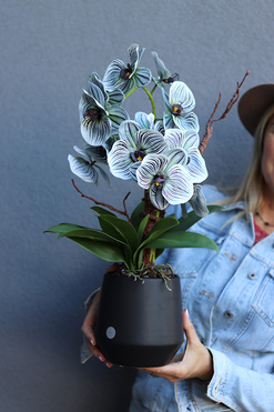 OD RĘKI Bellede, wysokiej jakości sztuczny storczyk, wym.54cm