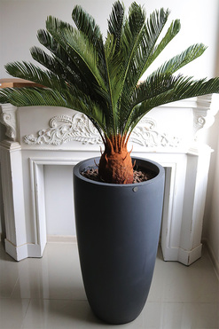 Cykas Concrete, sztuczna roślina w betonowej donicy, wys.146cm