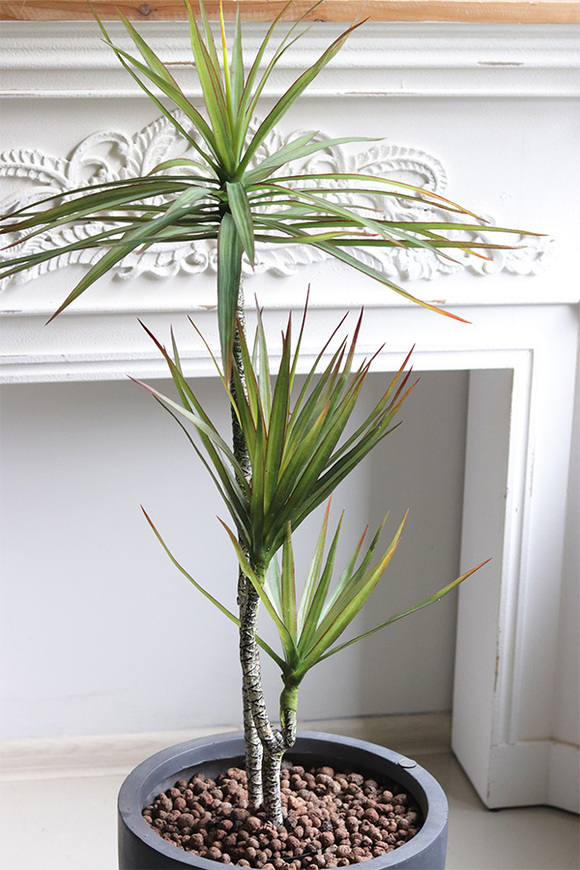 Dracena Concrete, sztuczne drzewko w betonowej donicy