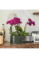 Vintage Orient, osłonka ceramiczna doniczka, zielona