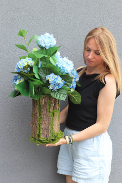 Blue Hortensja w Mchu, kompozycja kwiatowa w pniu, wym.60cm