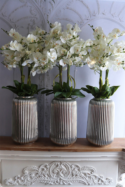 Zakopane Silver, biały storczyk w srebrnej donicy