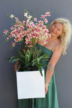 Fiberglass Cherie, gumowy storczyk w białej donicy, wys.96cm 