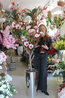 Magnolia Silveria, sztuczne drzewko w donicy