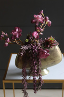 Olivina Kristi, kompozycja sukulenty w złotym pucharze