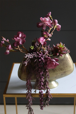 Olivina Kristi, kompozycja sukulenty w złotym pucharze, wys.39cm  