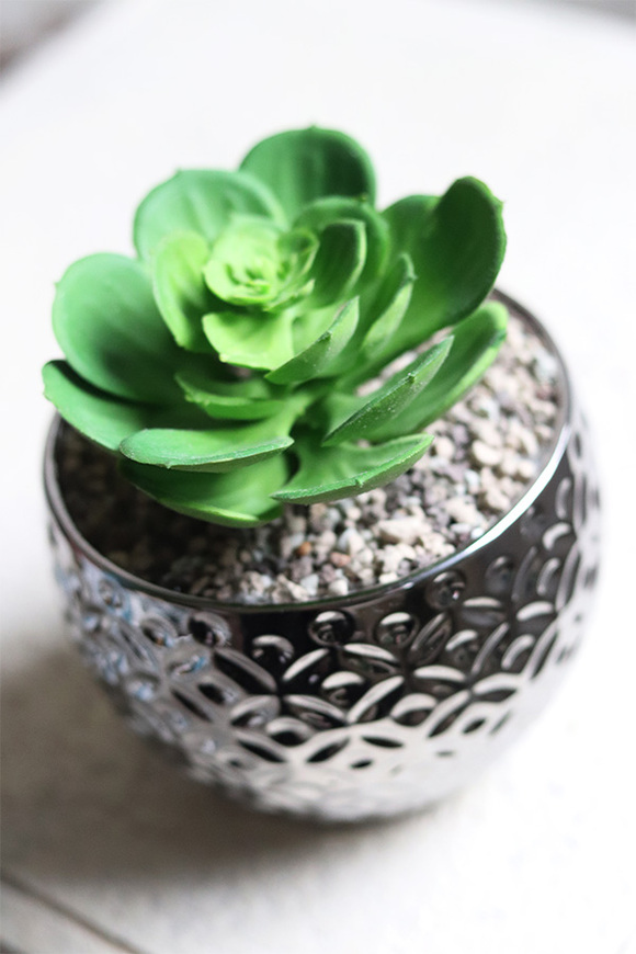 Gestree Silver, kompozycja sukulenty w srebrnej donicy, wys.15cm