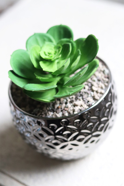 Gestree Silver, kompozycja sukulenty w srebrnej donicy, wys.15cm