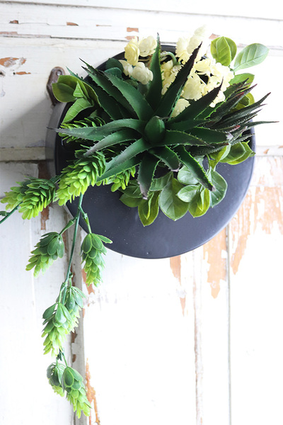 Designerio A, kompozycja sukulenty w czarnej donicy wiszącej, wym.16x25cm