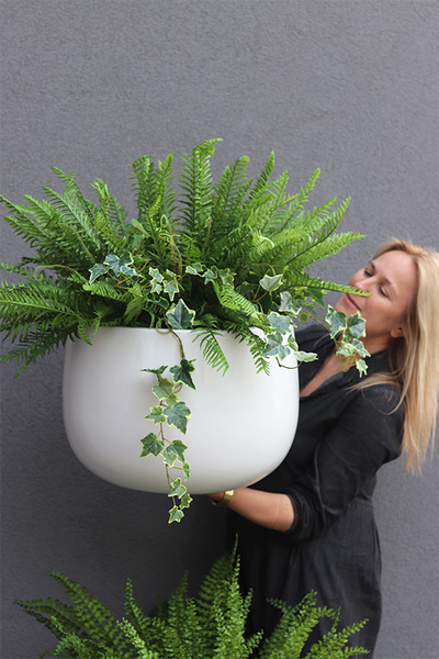 Zielony Dom, 3 dekoracje w donicach fiberglass