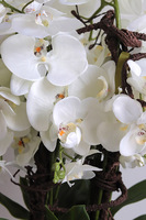 Modern Meadow, stylowy storczyk w doniczce ze wzorem, wys.70cm